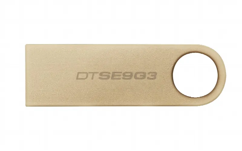 Memoria USB Kingston Technology DATATRAVELER SE9 G3