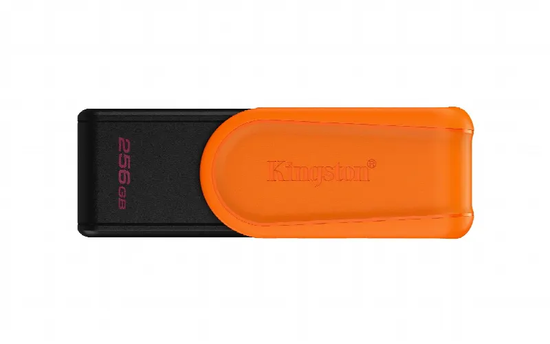 Memorias USB Kingston Technology DTXS/256GB